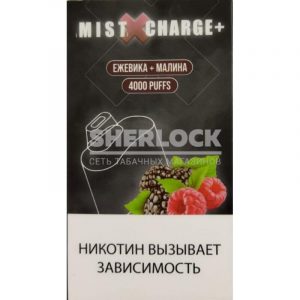 Электронная сигарета MIST X CHARGE+ 4000 (Ежевика - малина) купить с доставкой в Челябинске и Челябинской области. Цена. Изображение №5.