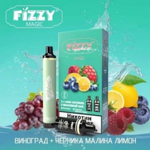 Fizzy Crown 800 - Черника ICE купить с доставкой в Челябинске и Челябинской области. Цена. Изображение №1.